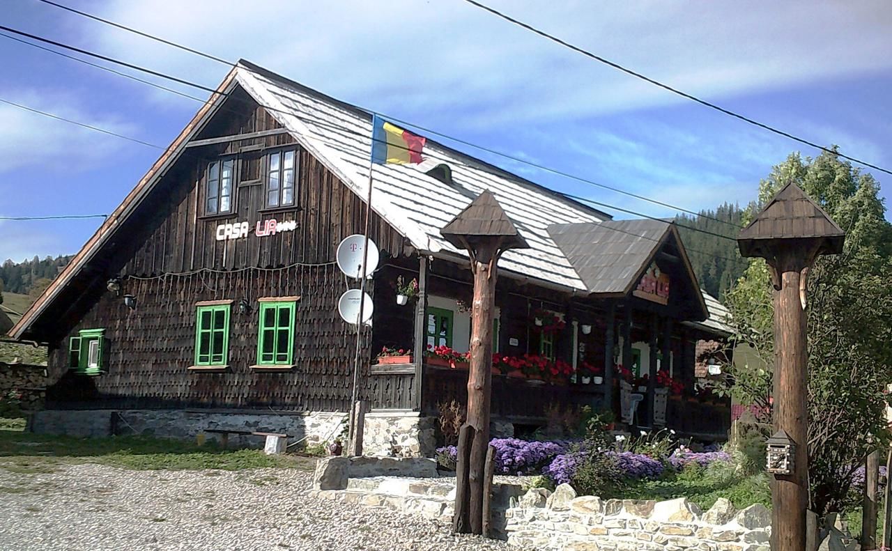 Гостевой дом Casa Lia Valea Putnei-17