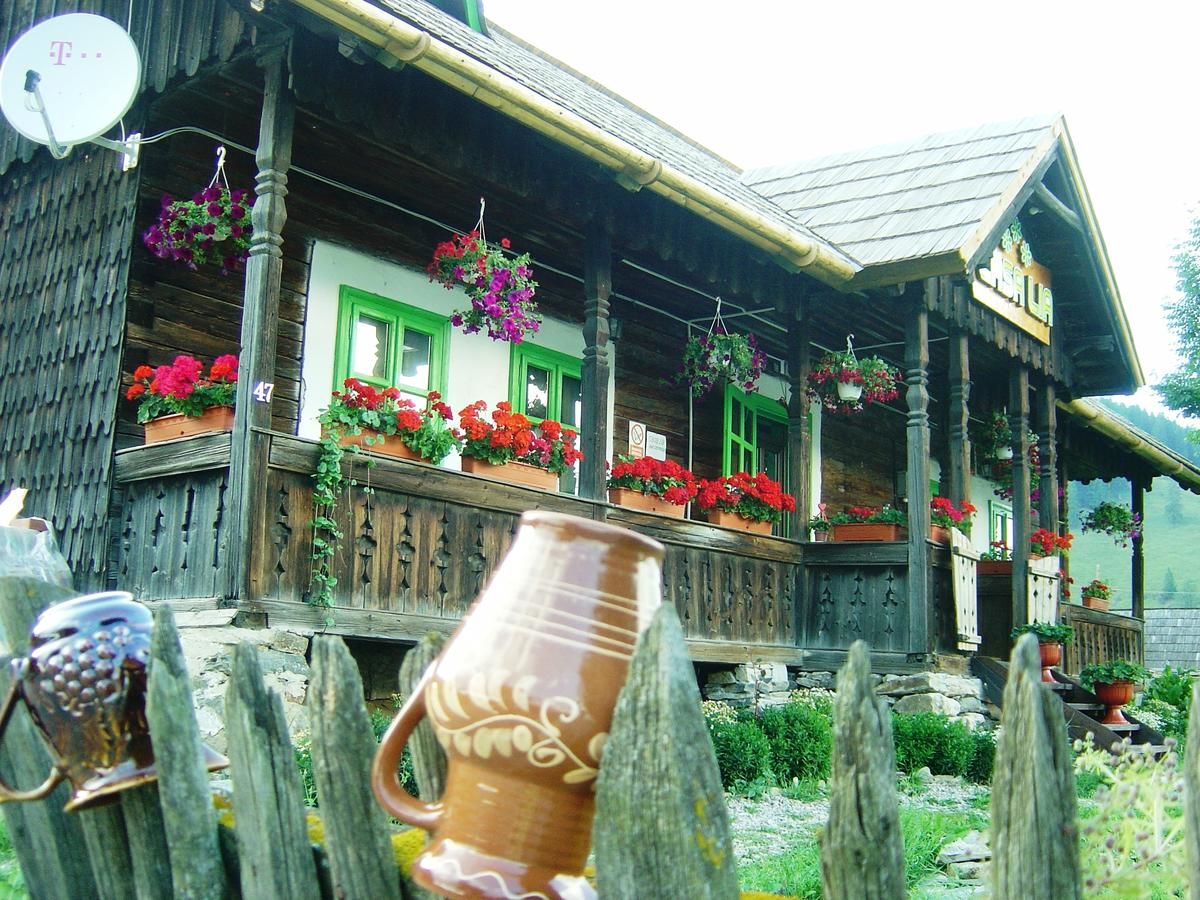 Гостевой дом Casa Lia Valea Putnei-36