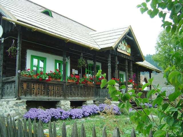 Гостевой дом Casa Lia Valea Putnei-46